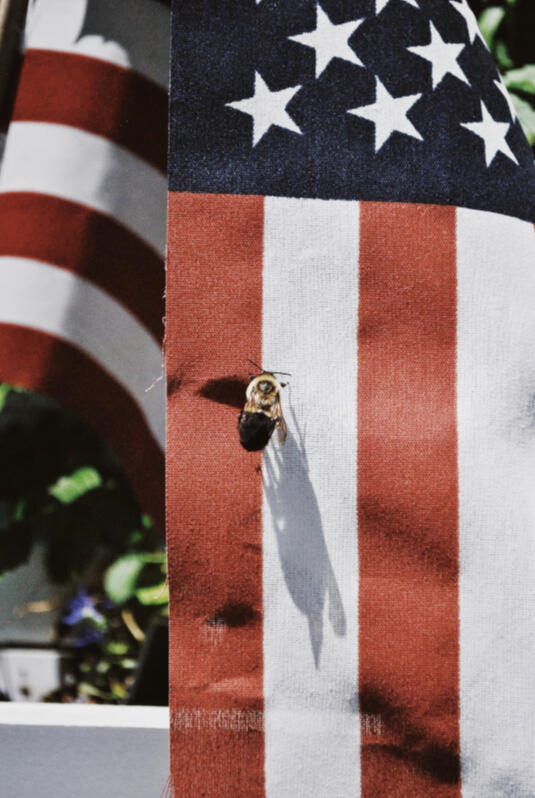 Photography NFTs by The Meatloaf