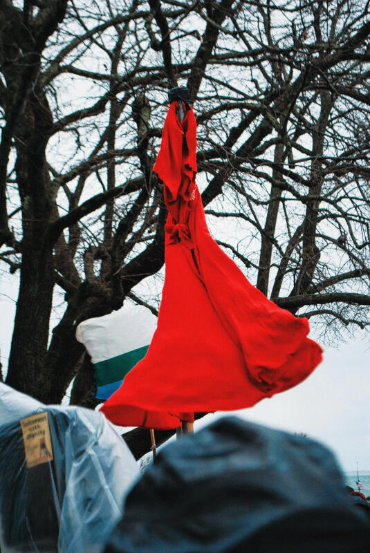 Photography NFTs by The Meatloaf