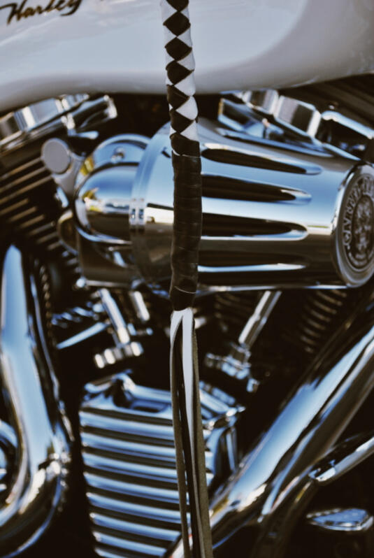 Photography NFTs by The Meatloaf