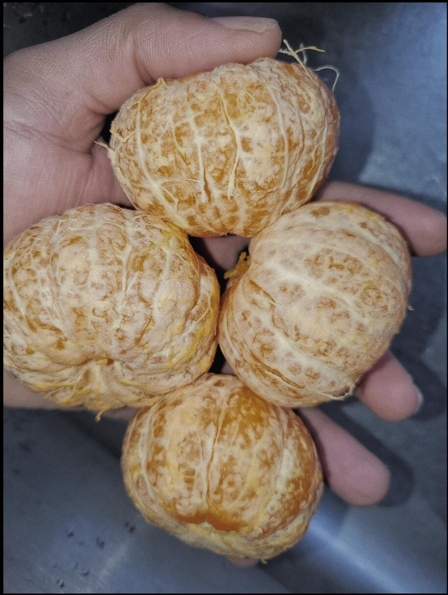 VSCO mobile photograph editing lesson Default Look