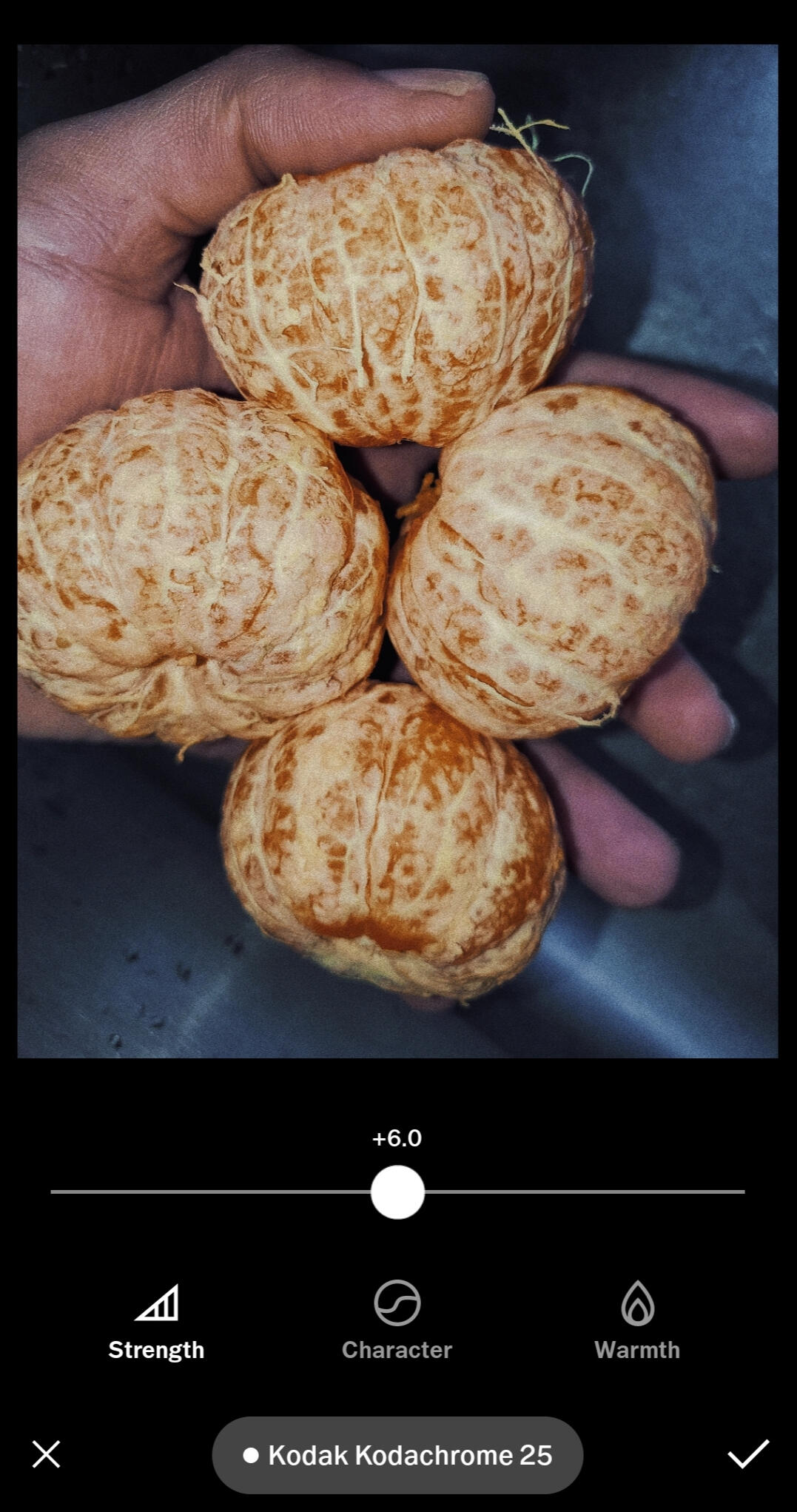 VSCO mobile photograph editing lesson Kodak Kodachrome 25 Strength Setting