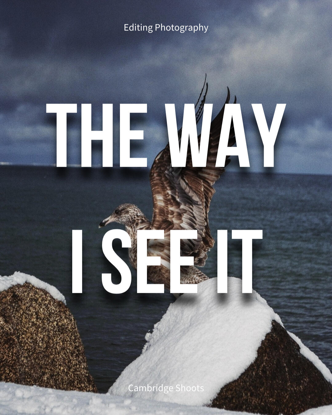 Photography editing lesson 1 cover image